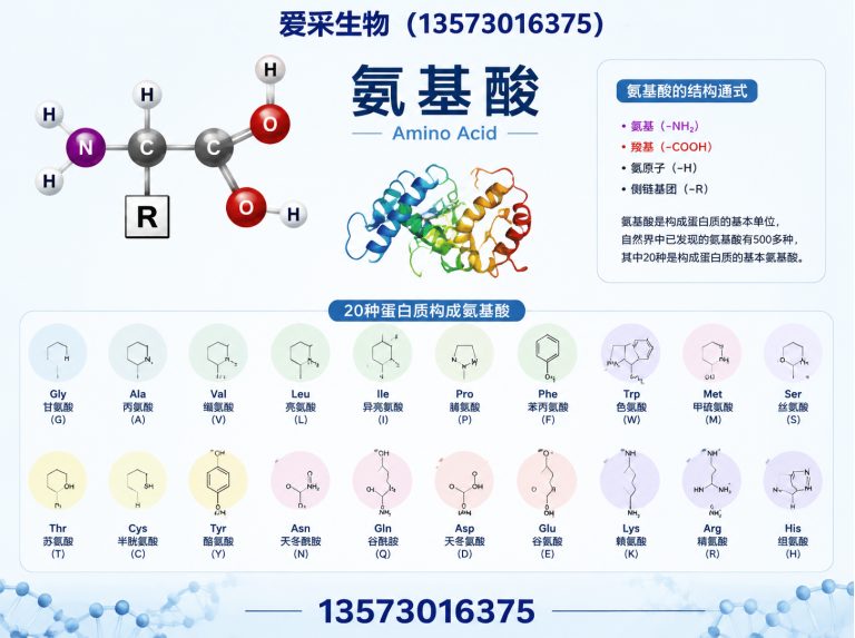 定陶区爱采生物展示图